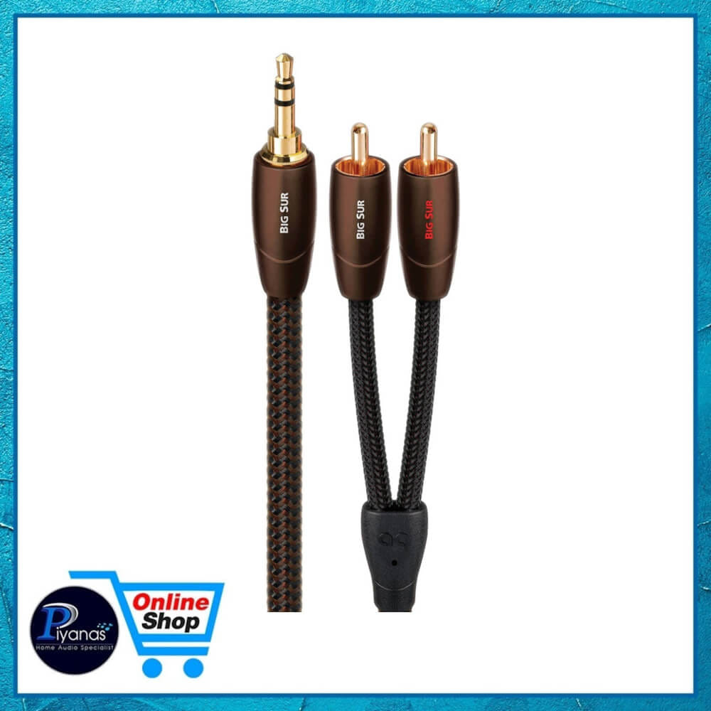 สายสัญญาณอนาล็อก AUDIOQUEST : BIG SUR (MINI TO RCA) (1.0M)